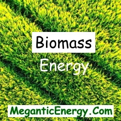 Best Low Cost Energy Electricity Natural Gas Biomass Energy meganticenergy.com